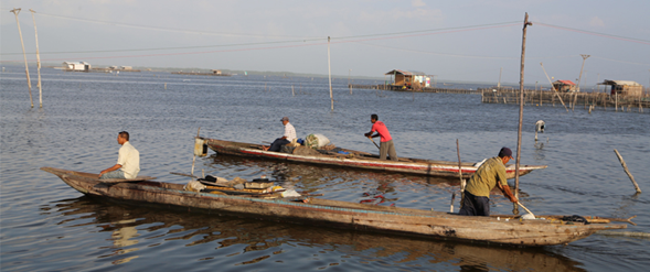 caños cienaga